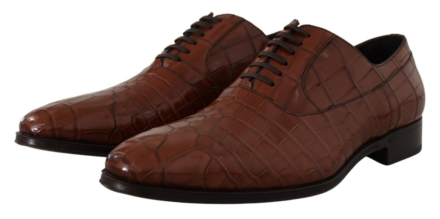 Dolce & Gabbana Braunes Krokodilleder Herren Derby Schuhe