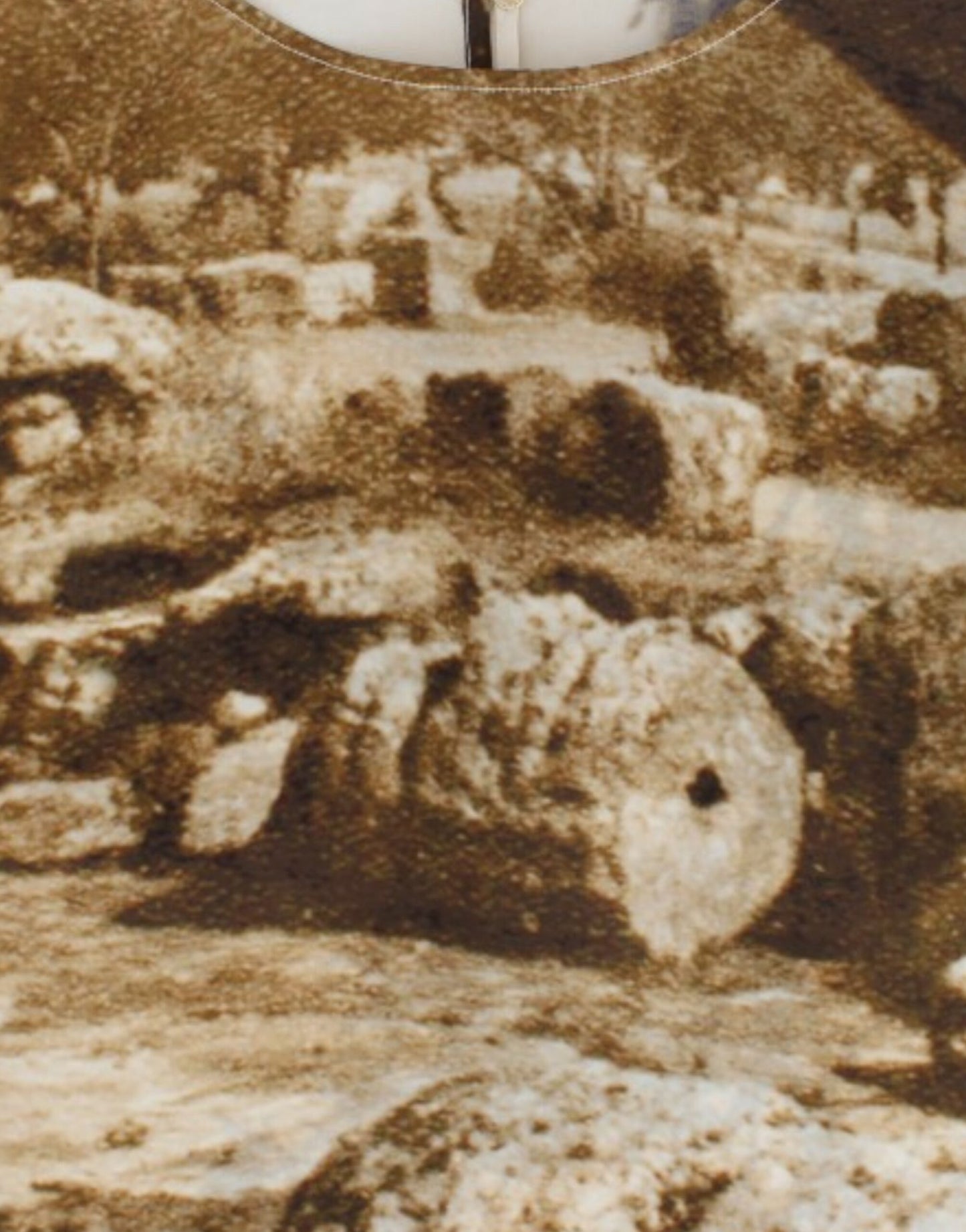 Dolce & Gabbana Braune Taormina-Seidenbluse