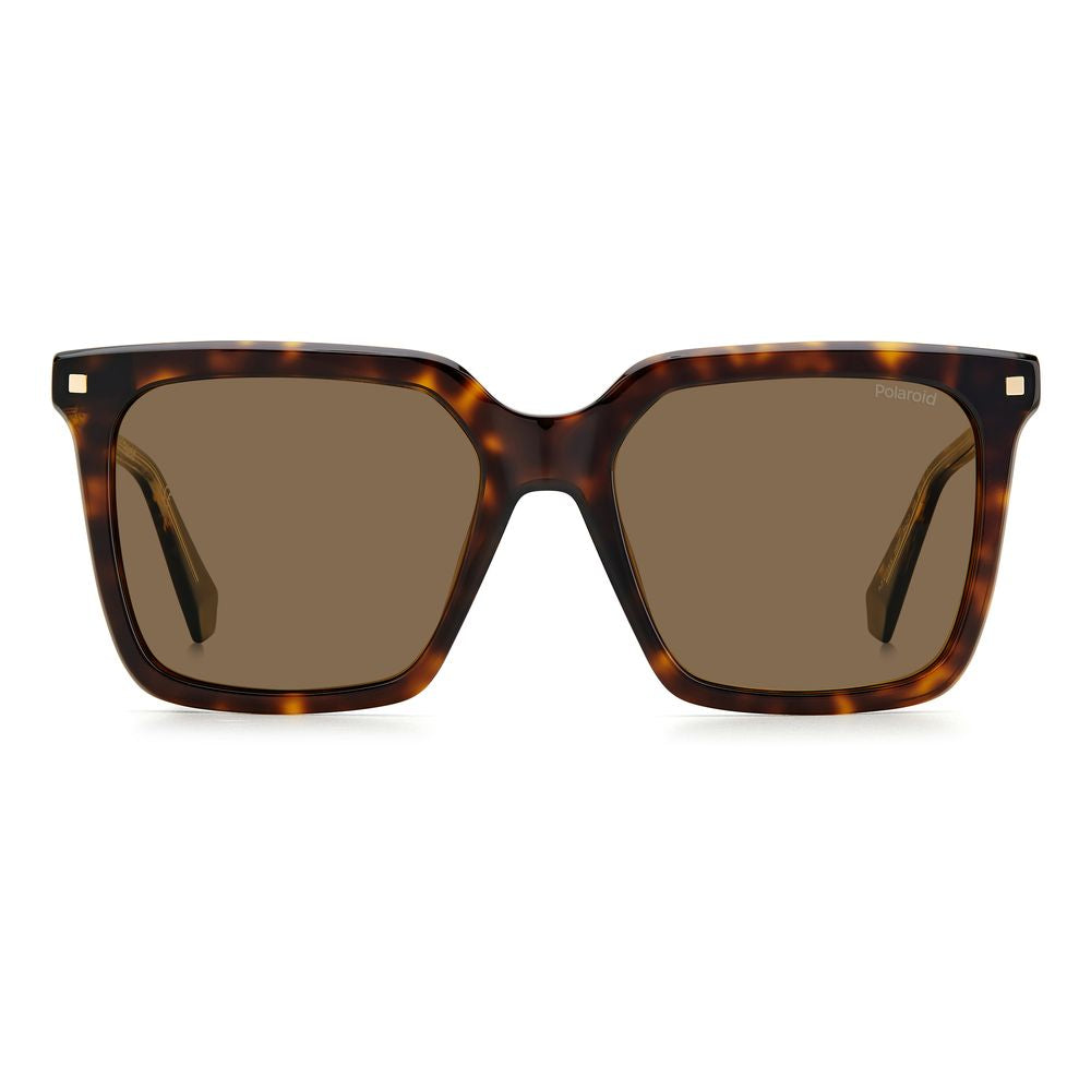 Polaroid Braune Acetat-Sonnenbrille