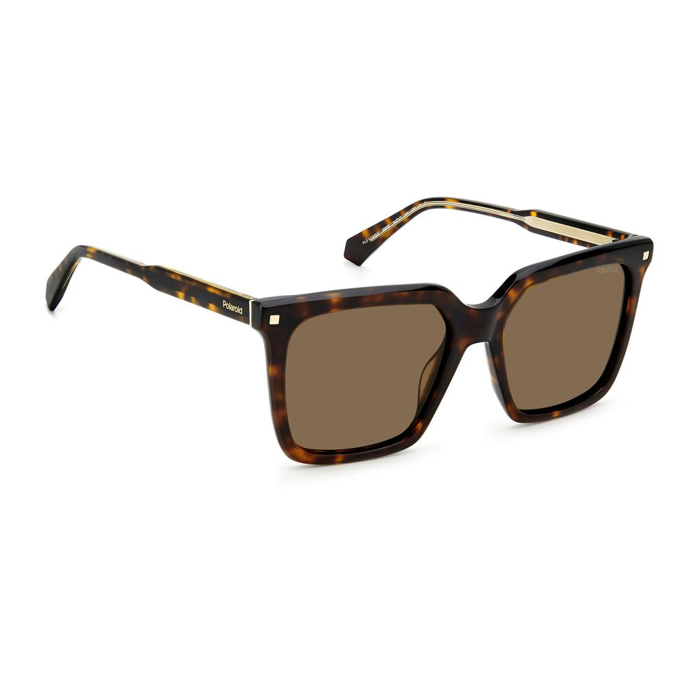 Polaroid Braune Acetat-Sonnenbrille