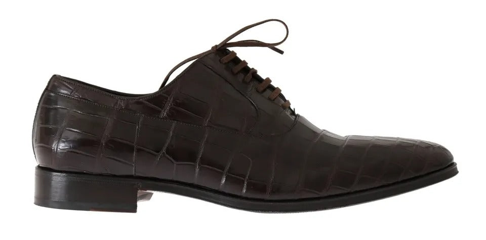 Dolce & Gabbana Braun gemusterte formelle Schuhe aus Leder