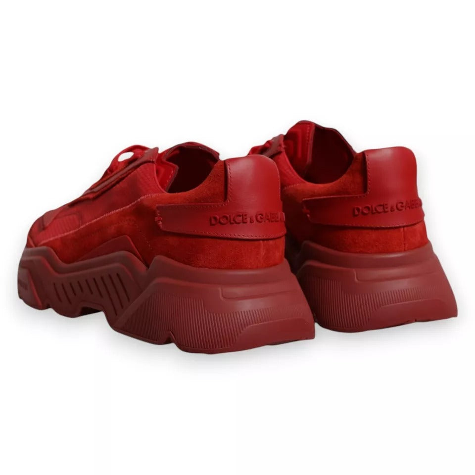 Dolce & Gabbana Rote Leder Daymaster Low Top Sneakers Schuhe