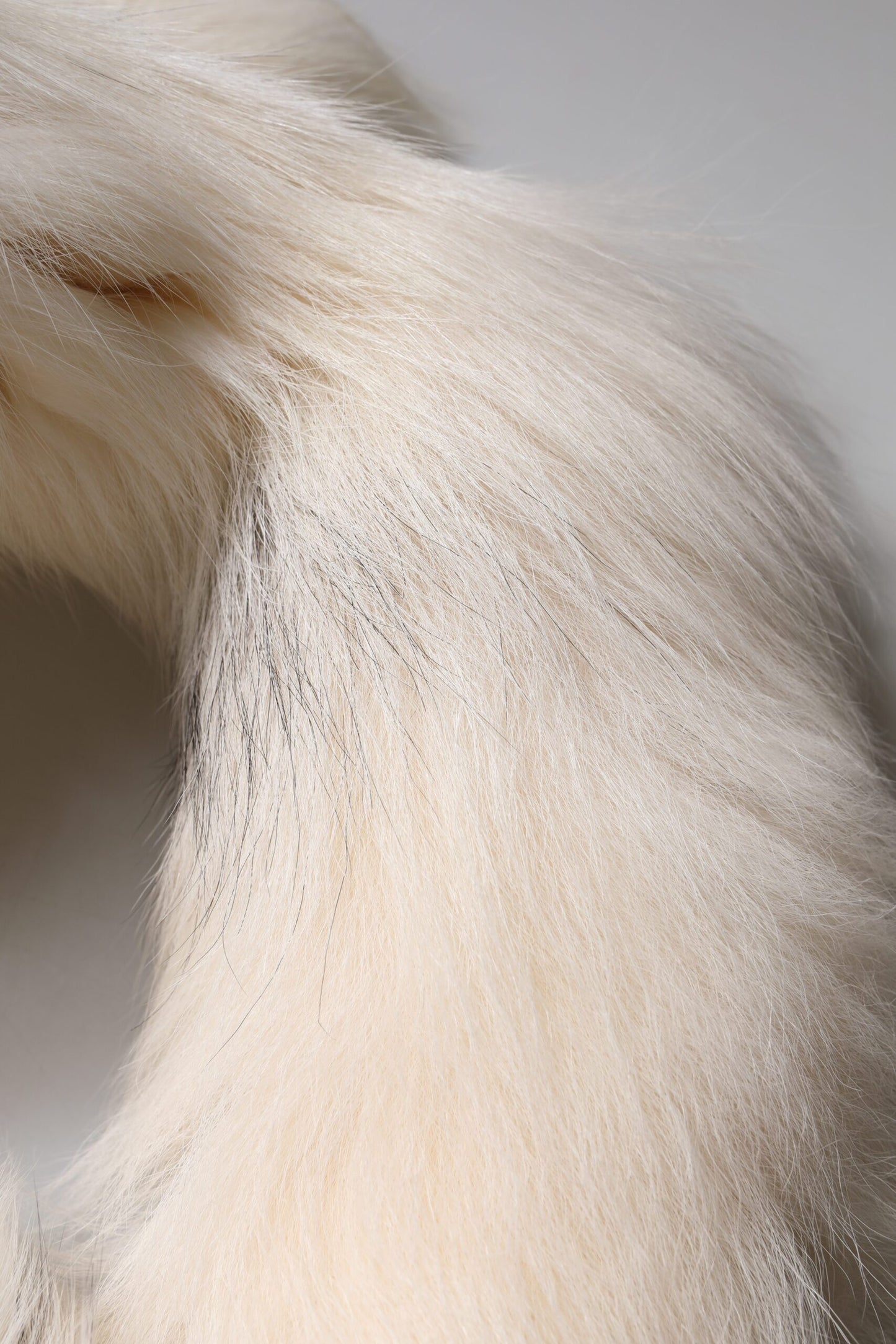 Dolce & Gabbana Weißer Fuchs Pelz Hals Wrap Warmer Winterschal