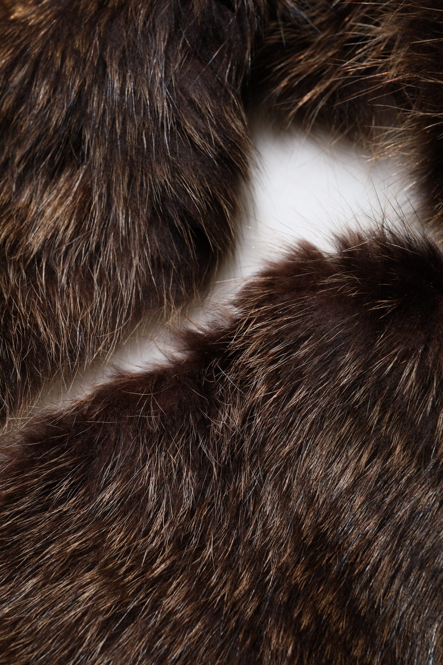 Dolce & Gabbana Brauner Waschbär Pelz Halswärmer Winterschal