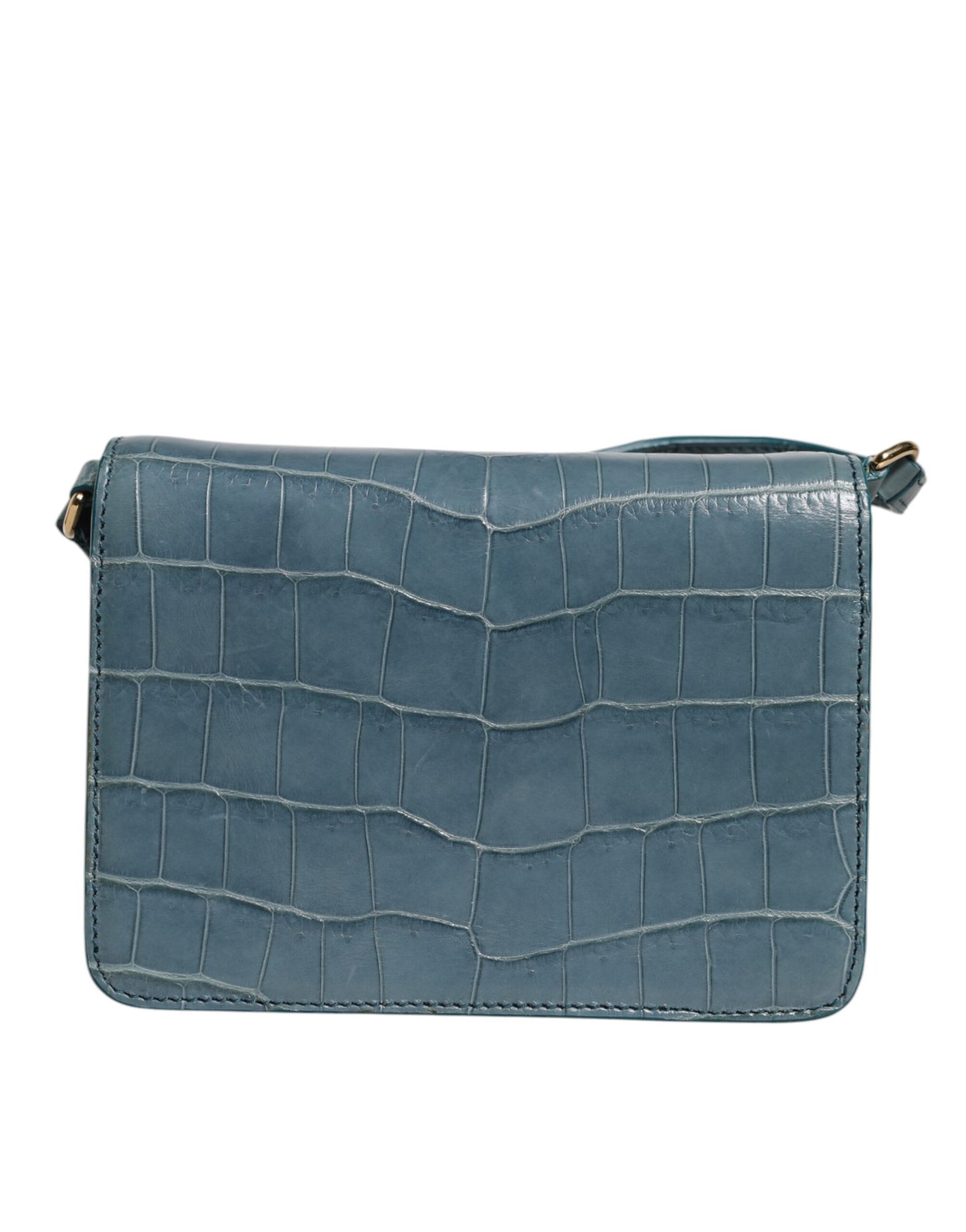 Dolce & Gabbana Grüne Exotenleder DG Plaque Crossbody Mini-Tasche