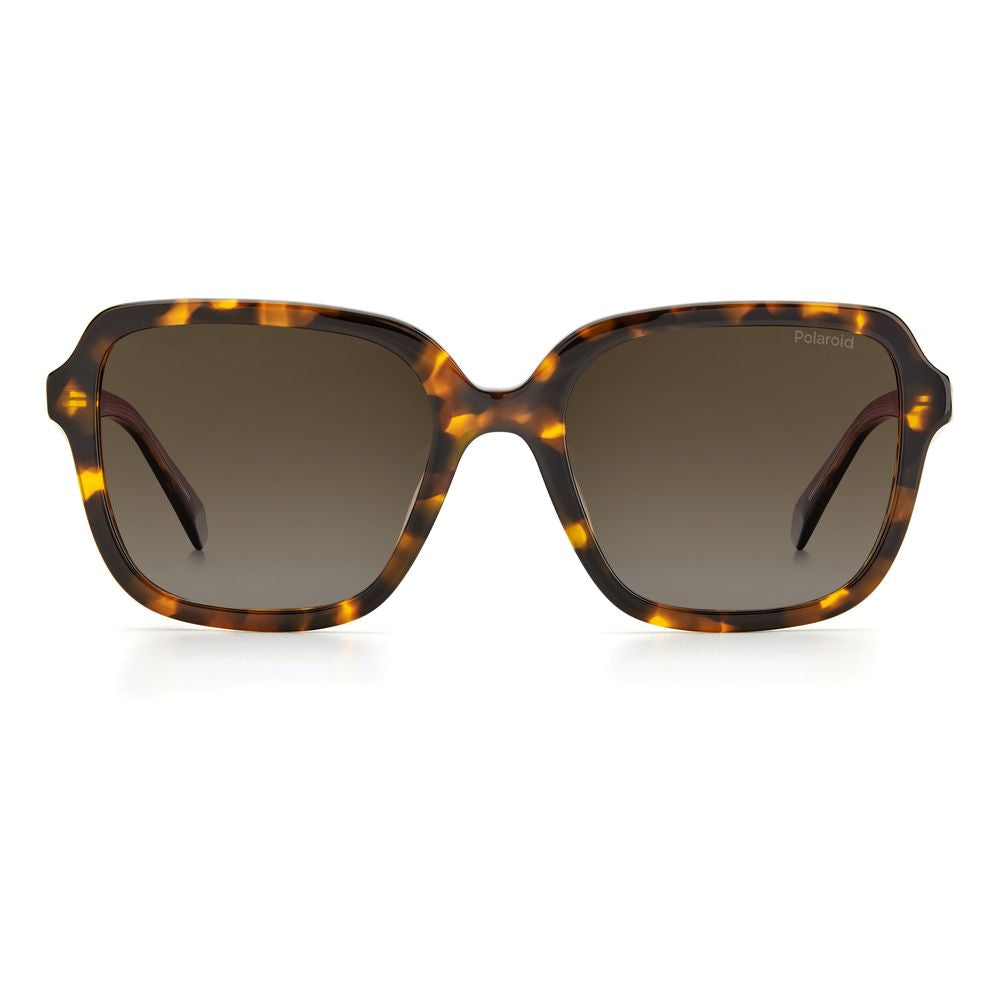 Polaroid Braune Acetat-Sonnenbrille
