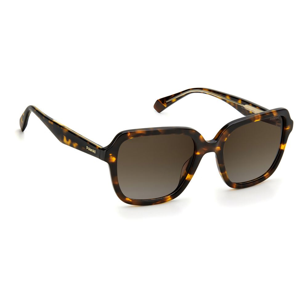 Polaroid Braune Acetat-Sonnenbrille