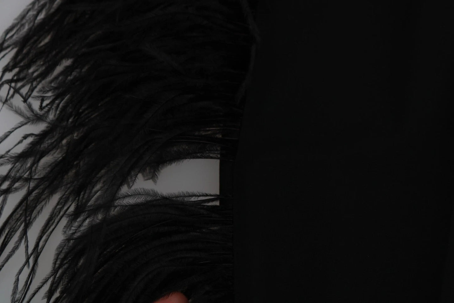 Dolce & Gabbana Schwarze Federhosen mit hoher Taille